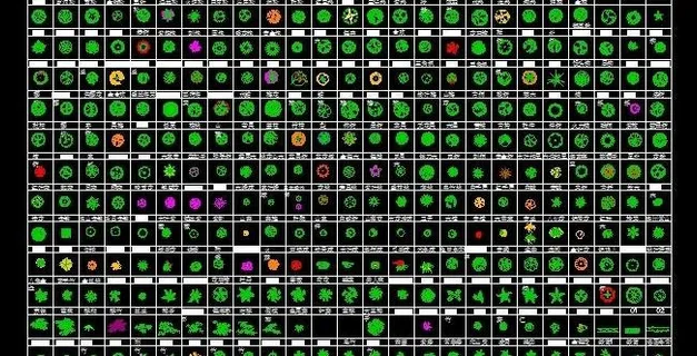 园林树木图 园林树木图