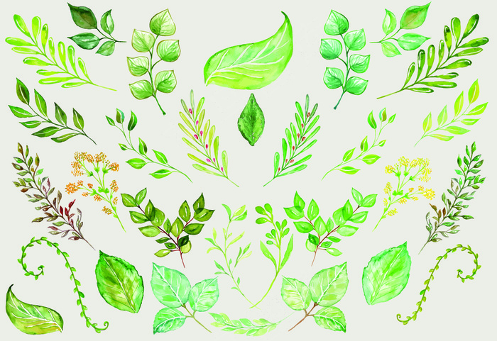 清晰手绘藤蔓枝条造型免扣