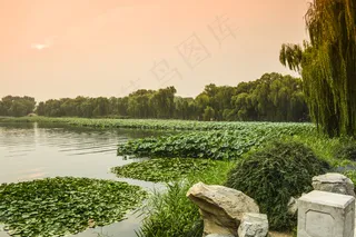 圆明园风景图片
