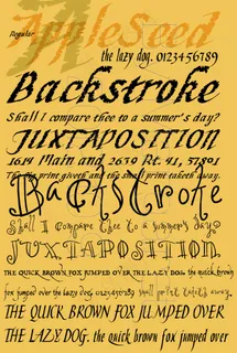 书法英文字体图片