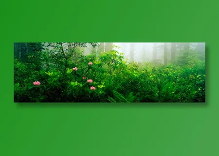 Quanjing20 Quanjing20