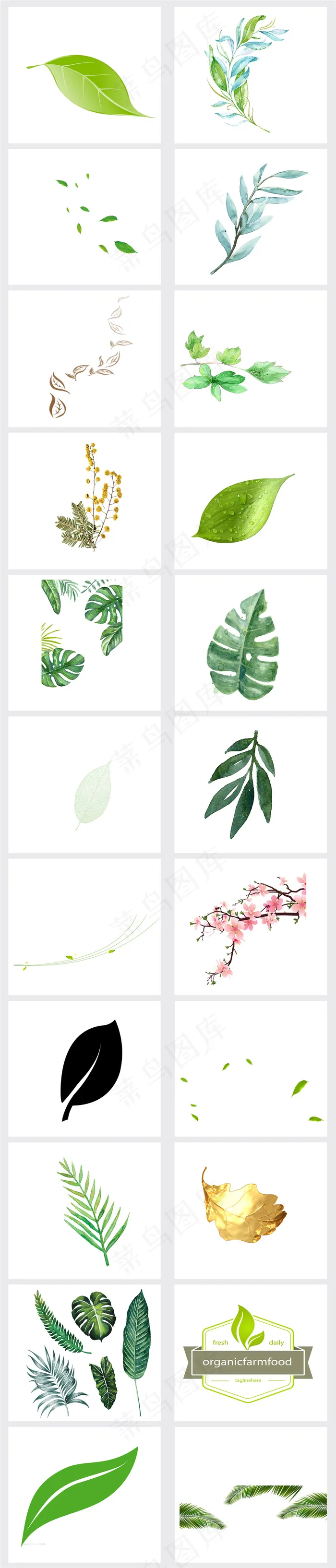 春天绿色绿叶树叶春天设计素材(3821X17838(DPI:96))psd模版下载