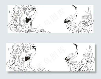 莲花白鹤图片 莲花白鹤图片