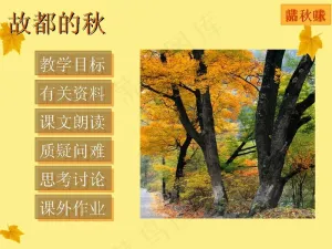 故都的秋语文课件PPT模板预览图