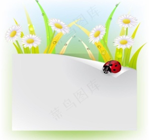 动感绿叶鲜花瓢虫 水珠水滴图片