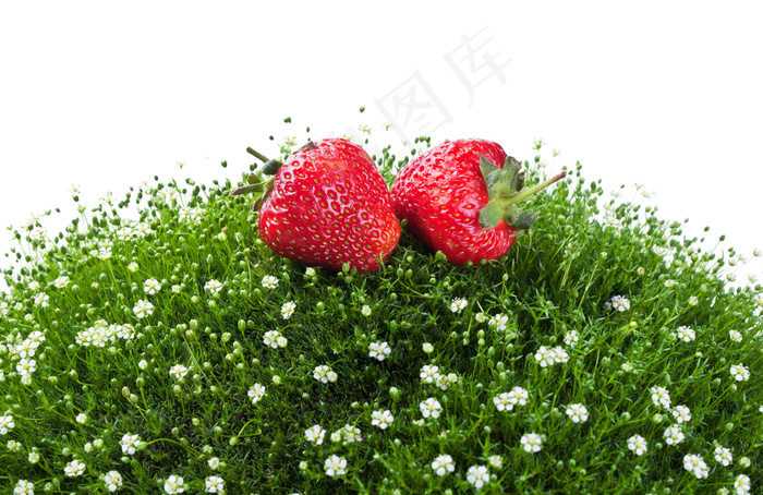 草地上的草莓图片