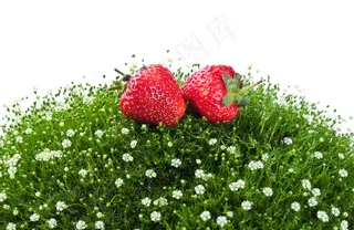 草地上的草莓图片
