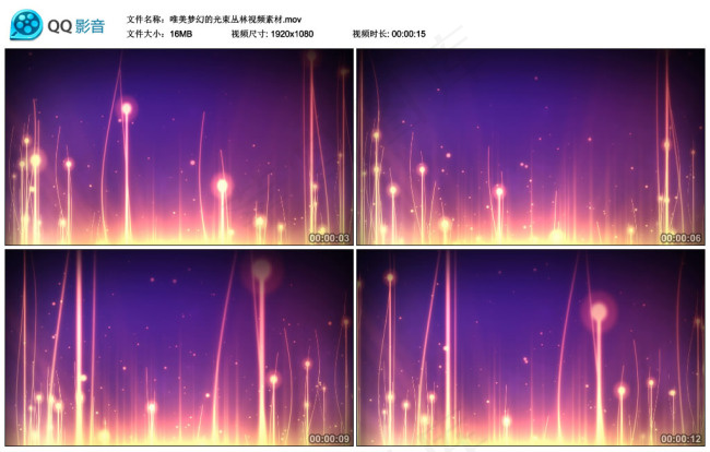 唯美梦幻的光束丛林视频素材