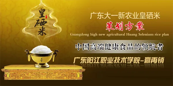 皇硒米策划方案海报psd模版下载