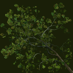 3D植物模型免费下载
