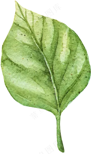 手绘水彩绿色叶片矢量素材