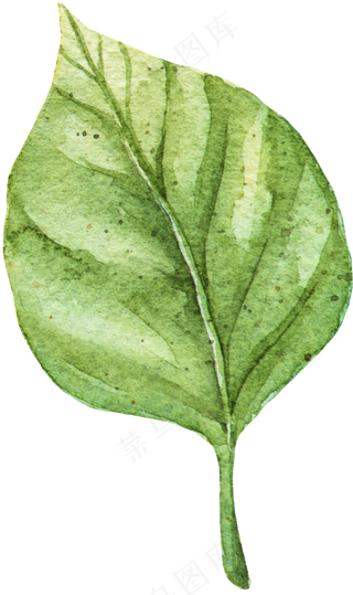 手绘水彩绿色叶片矢量素材