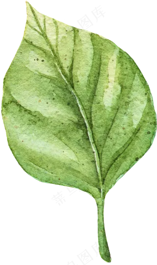 手绘水彩绿色叶片矢量素材