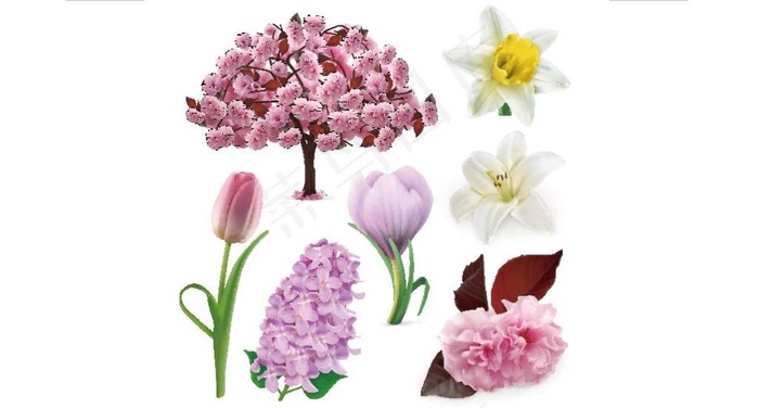 美丽的粉色花朵植物矢量素材