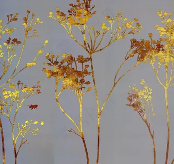 植物 无框画图片 植物 无框画图片