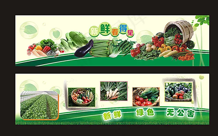 有机蔬菜展板设计图片(4400X2800)cdr矢量模版下载