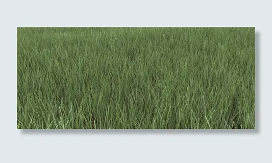 绿色草地背景纹理 绿色草地背景纹理