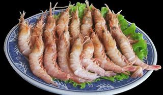 蛎虾 大虾 河虾 海虾图片