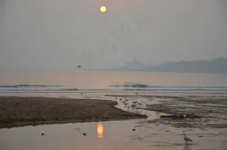 夕阳下的海滩图片