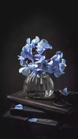 玻璃瓶与花高清摄影图片