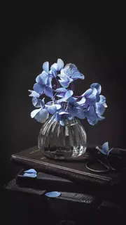 玻璃瓶与花高清摄影图片 玻璃瓶与花高清摄影图片