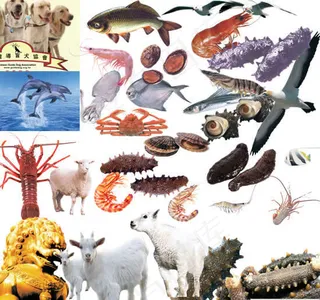 动物海参鱼虾羊螃蟹石狮PSD素材