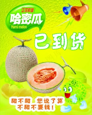 哈蜜瓜图片