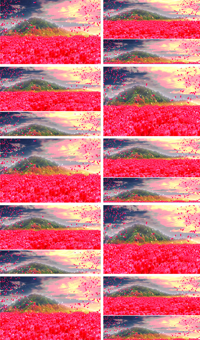 超高清杜鹃花映山红革命红歌背景视频