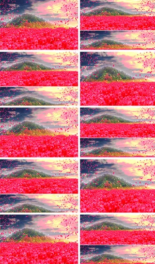 超高清杜鹃花映山红革命红歌背景视频