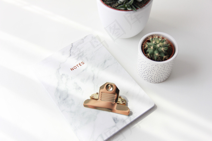 简约小清新文艺风插花静物摆拍背景