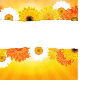 鲜花背景矢量素材3