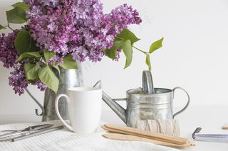 简约小清新文艺风插花静物摆拍背景