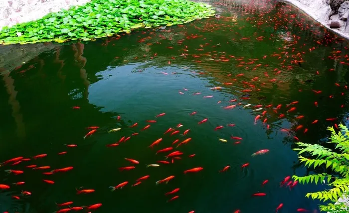 华清池图片