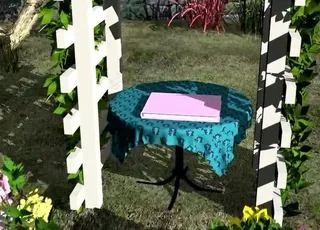 婚礼视频素材图片