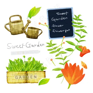 洒水壶与绿叶黑板花朵PSD分层素材