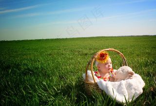 草地上篮子里面的可爱宝宝图片