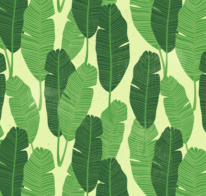 手绘可爱的棕榈叶背景