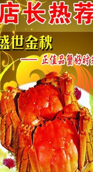 大闸蟹x展架图片