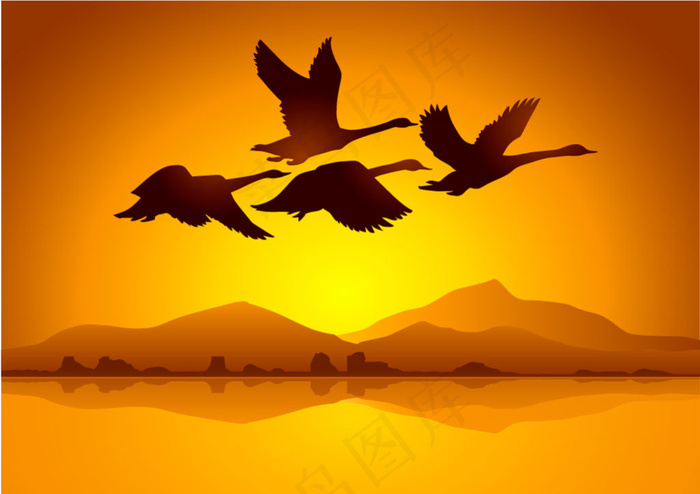 天鹅与夕阳背景矢量素材eps,ai矢量模版下载