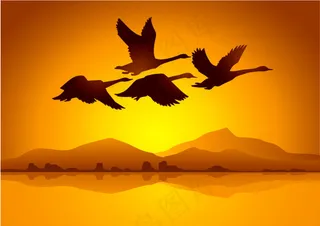 天鹅与夕阳背景矢量素材