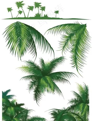 椰子树矢量素材