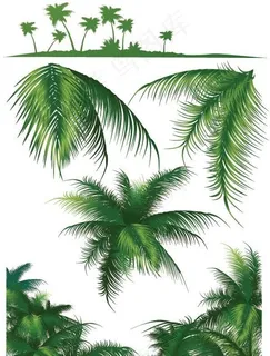 椰子树矢量素材 椰子树矢量素材
