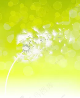 蒲公英矢量春天背景