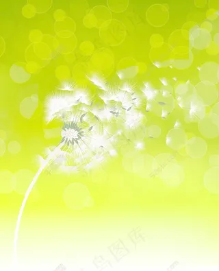 蒲公英矢量春天背景