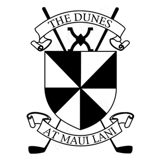 在毛伊岛的沙丘