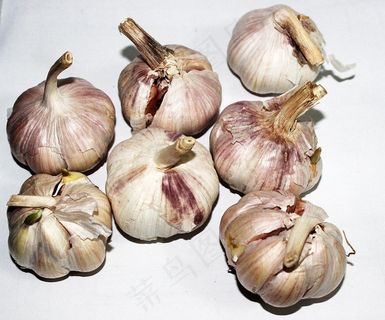 大蒜图片