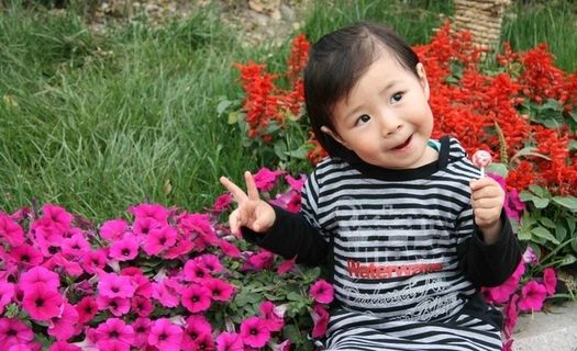 可爱的小桐桐图片