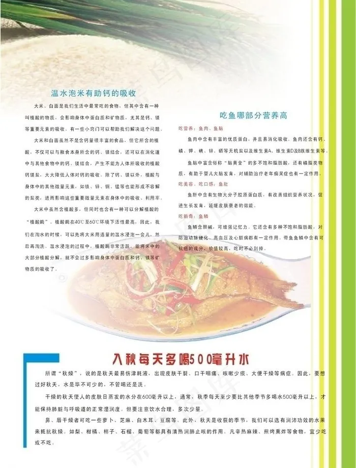 入秋的饮食注意事项图片cdr矢量模版下载
