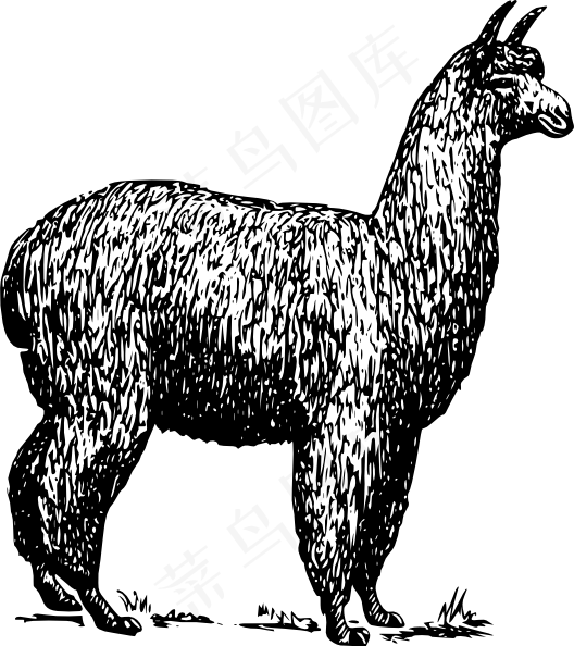 羊驼剪贴画