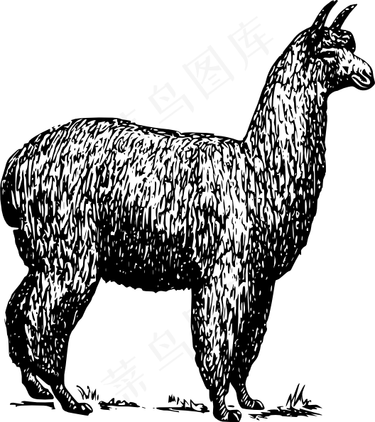 羊驼剪贴画